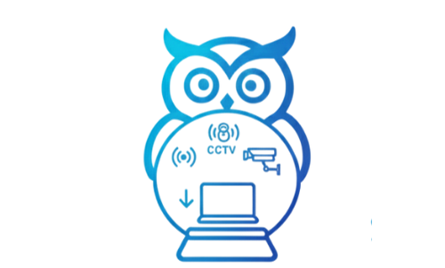 Scout - Crystal Ball3